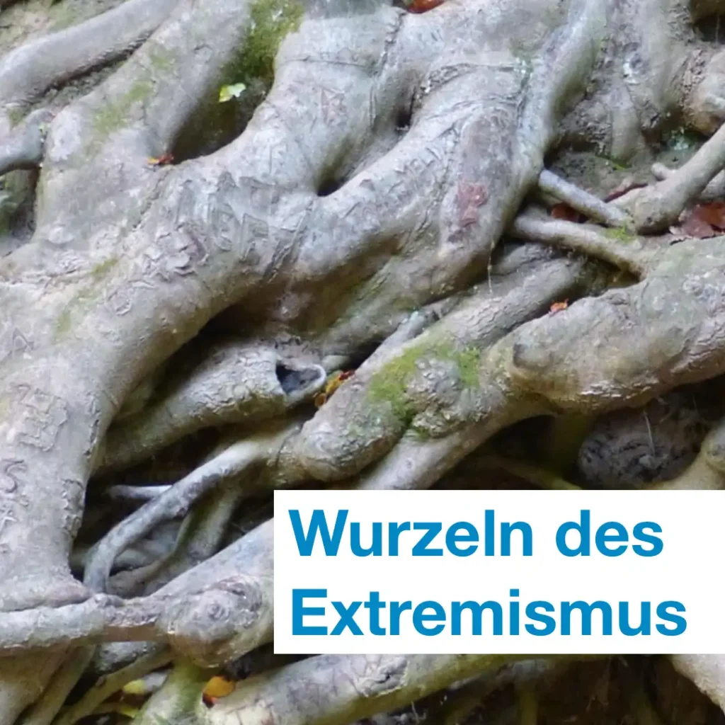 Das Bild zeigt kräftige und sehr verschlungene Wurzeln eines Baumes. Zusätzlicher Text: "Wurzeln des Extremismus".