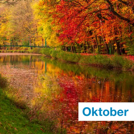 Das Foto zeigt eine Wald- und Flußszene im Herbst. Die Blätter der Bäume zeigen sich in den unterschiedlichsten Farbtönen von gelb bis rot. In dem Fluß spiegeln sich die Bäume mit den prachtvollen und herbstlichen Farben. Text: Oktober.