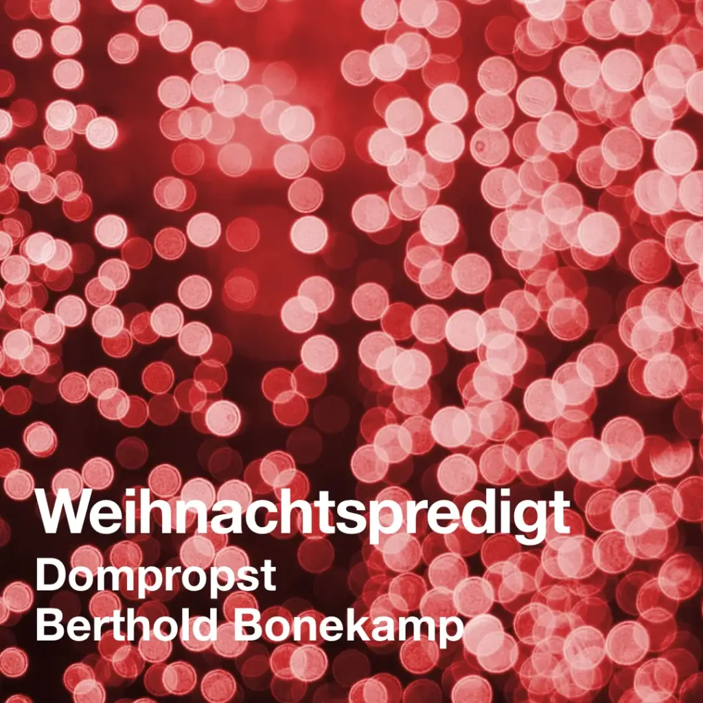Das Bild zeigt vor einem roten Hintergrund ein Meer aus hellen, verschwommenen Lichtern. Text: "Weihnachtspredigt. Dompropst Berthold Bohnekamp".