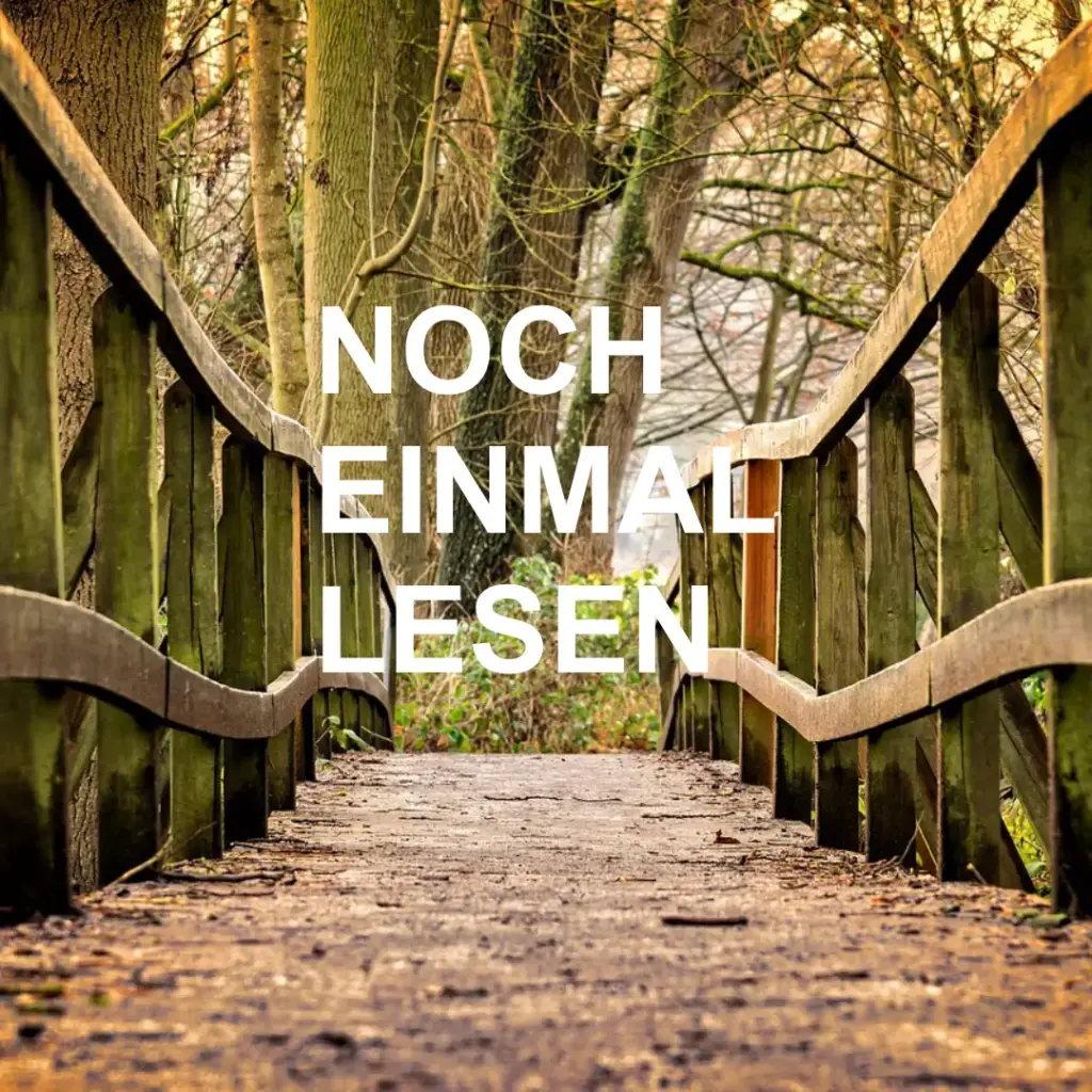 Das Bild zeigt eine schöne und alte Holzbrücke in einem Wald und den Text: "noch einmal lesen".